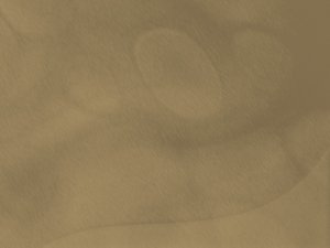 企业架构设计原则：构建可扩展的系统